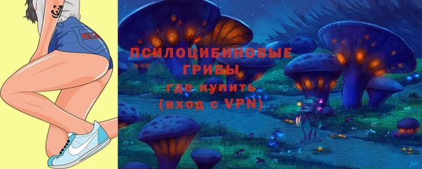 spice Покров
