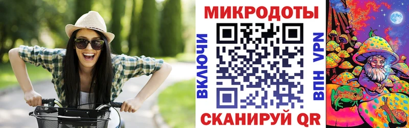 закладки  Энем  Галлюциногенные грибы ЛСД 