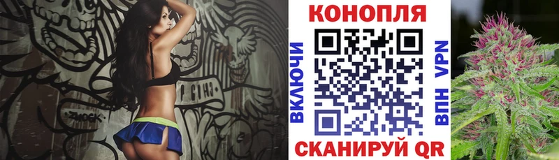 kraken онион  Энем  Бошки марихуана THC 21% 